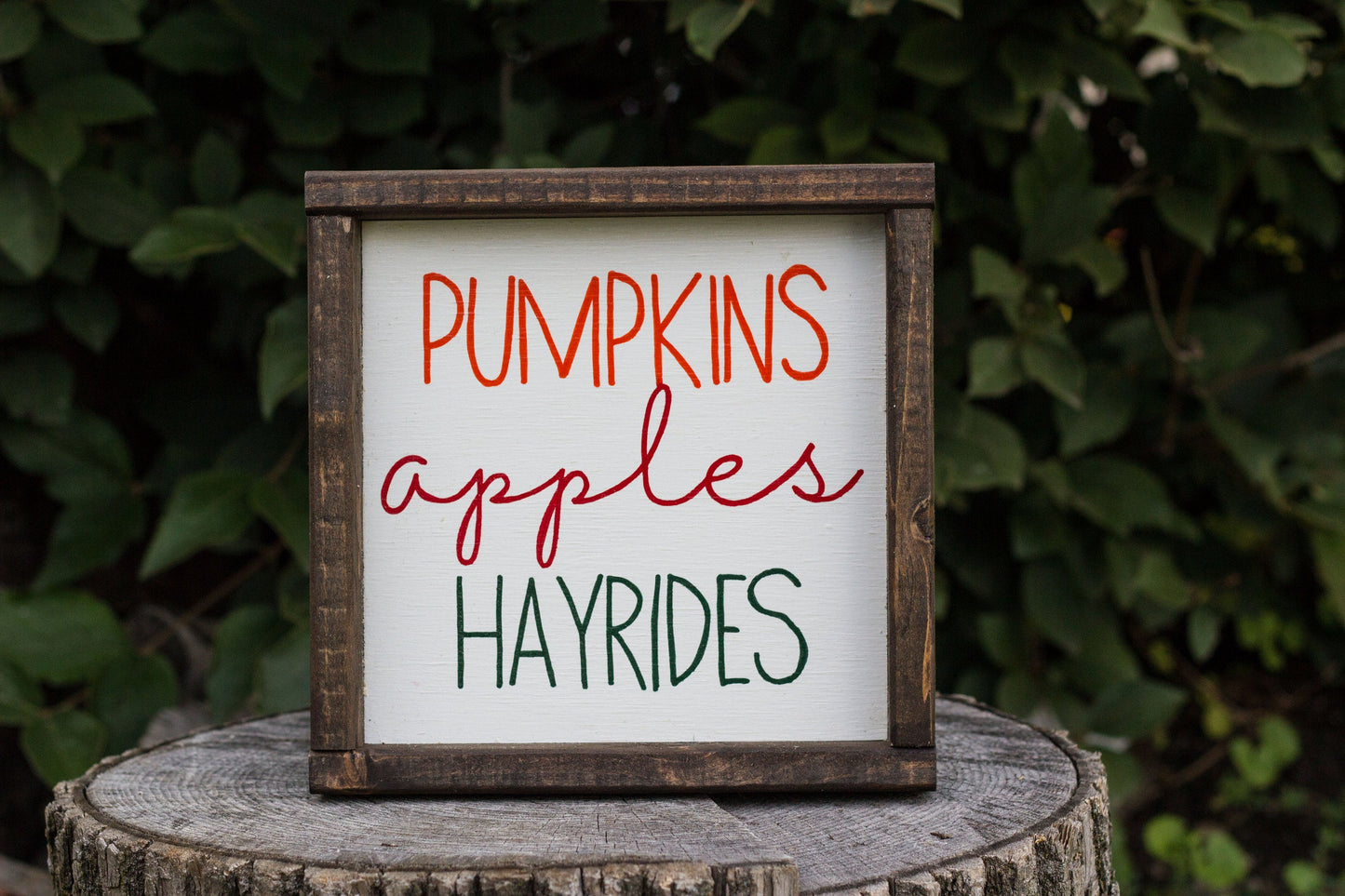 Pumpkins Apples Hayrides